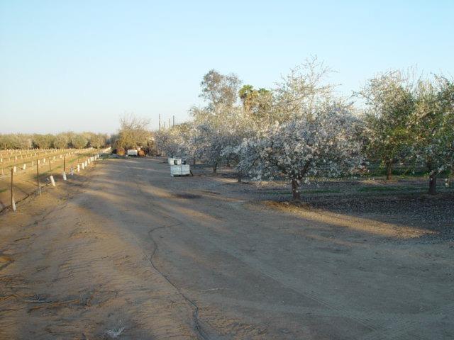 Road 20 1/2, Chowchilla, California image 6