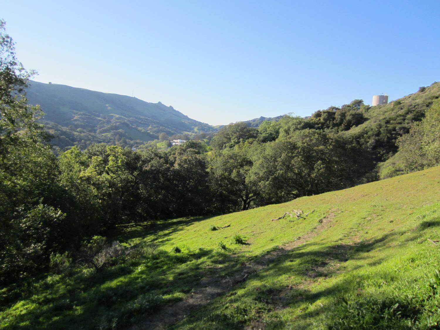 Photo of Bollinger Estates Ct in San Ramon, CA