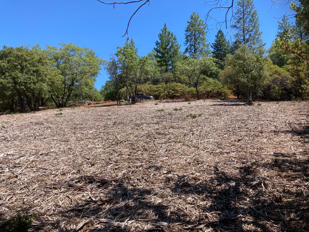 Photo of 14521 Surrey Junction Ln in Sutter Creek, CA
