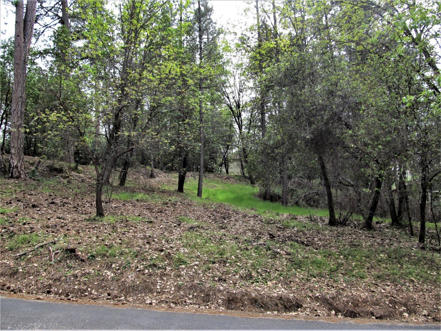 Madrone Ln, Placerville, CA, 95667