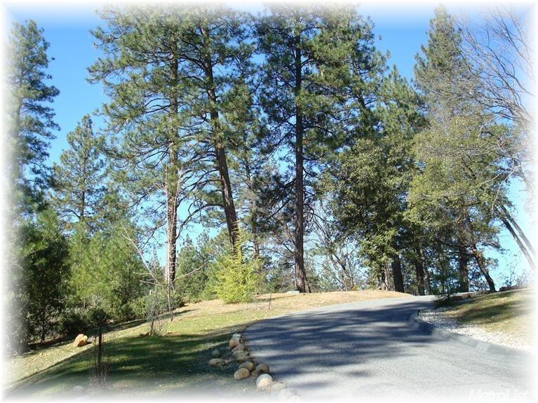 GORGEOUS LOCAL VIEWS FROM THIS HILLTOP SETTING, NICE TREE COVERED ACREAGE W/ OAKS, PINES & LOTS OF PRIVACY. CONVENIENT LOCATION W/ EASY ACCESS TO I-80. JUST MINUTES TO BEAR RIVER, WHICH OFFERS LOTS OF OUTDOOR FUN! POWER POLE ON SITE, WELL W/ PUMP PRODUCING 22 GPM. PERC & MANTLE COMPLETED FOR 3 BD RM, SAND FILTER SYSTEM. PRELIMINARY PLANS FOR APPROX 2000 SQ FT SINGLE LEVEL HOME 3 CAR GARAGE AVAILABLE UPON REQUEST.