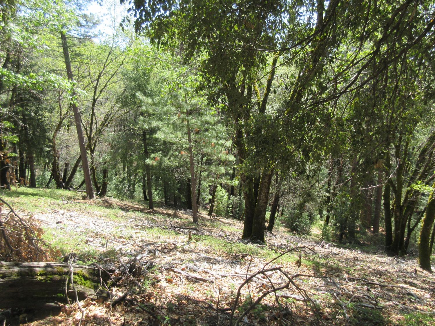 0 Moody Ridge Road, Alta, CA 95701