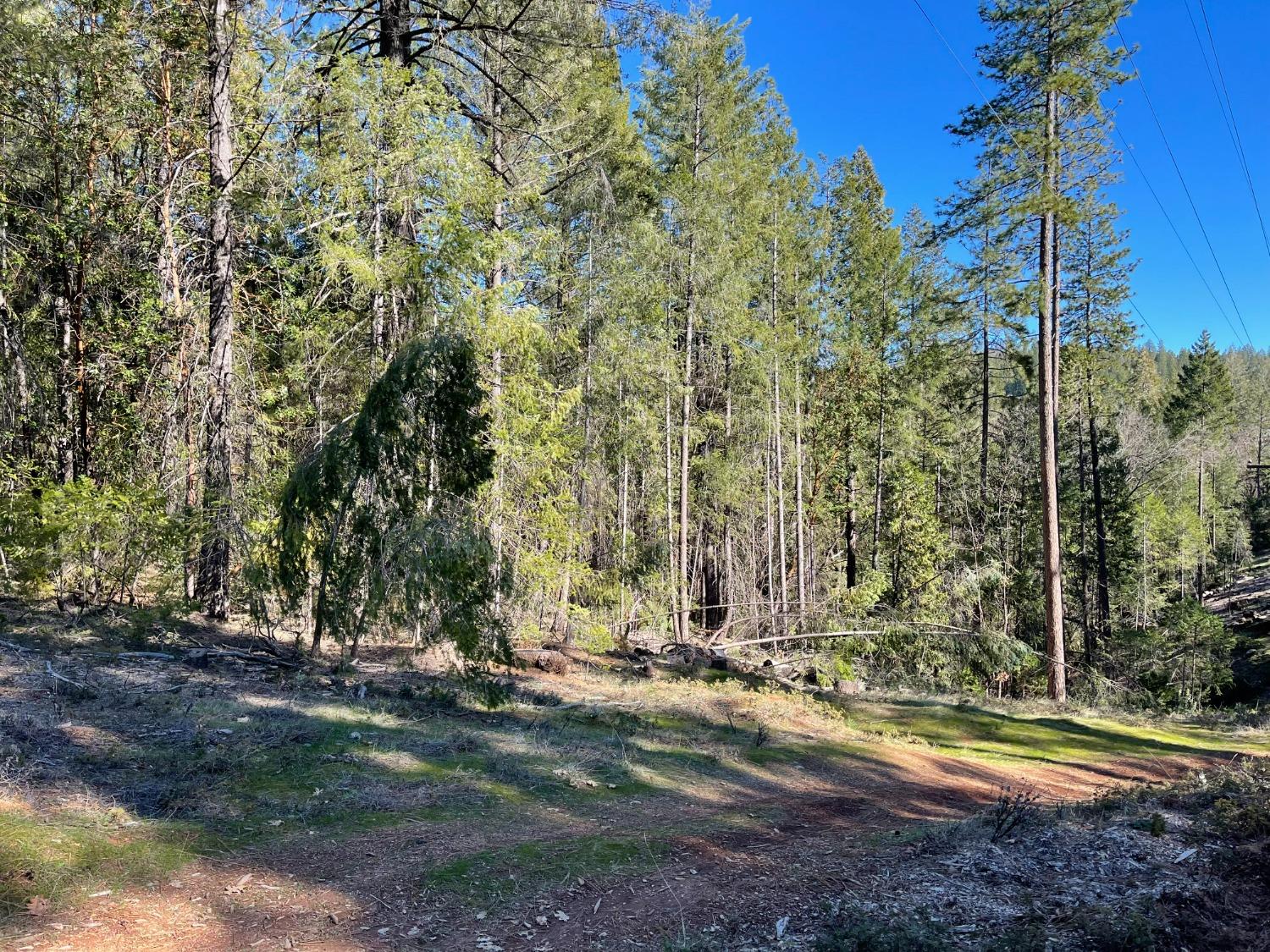 Priced reduced! Ready to build your dream ranch retreat? Become an organic garden farm? opportunity for so uch more. Great location, only 20 minutes to Auburn and 40 Mins to Roseville! This Lovely and beautiful, rolling 20 acres with many trees, located about half a mile down Pine Mountain Road is private road shared with your neighbors. Rare find to have 20 acres of useable land south of Foresthill. A variety of terrain: rolling, level, gently sloping, lower ridge view and valley ridge views. Close to hiking trails and riding trails. No trespassing by or through the gates. Electricity, phone, internet hook ups nearby. good area for wells. Great property, will look at offers. Need to be accompany for access. Further property information available upon request.