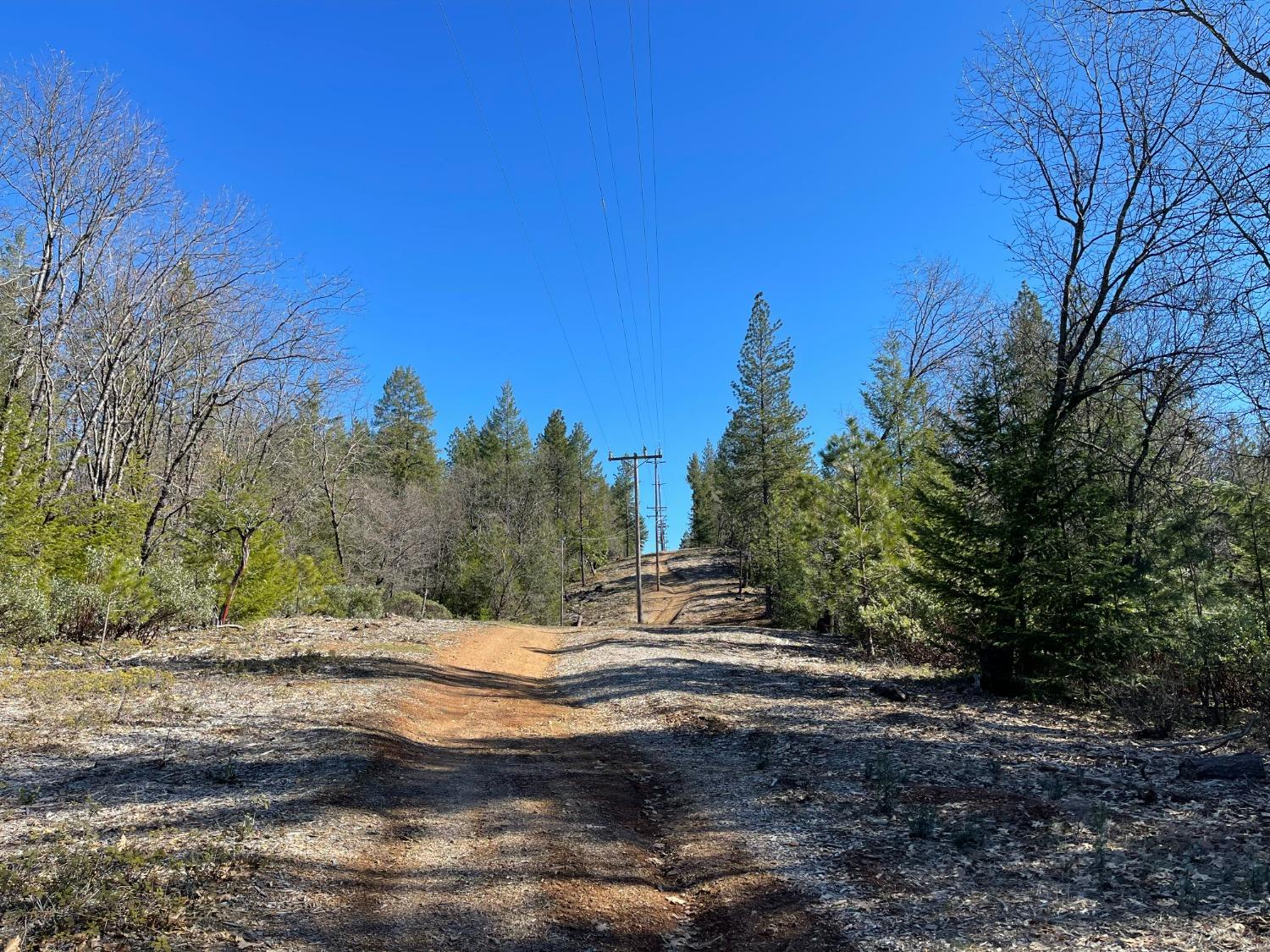 Pine Mountain Road, Foresthill, California image 17