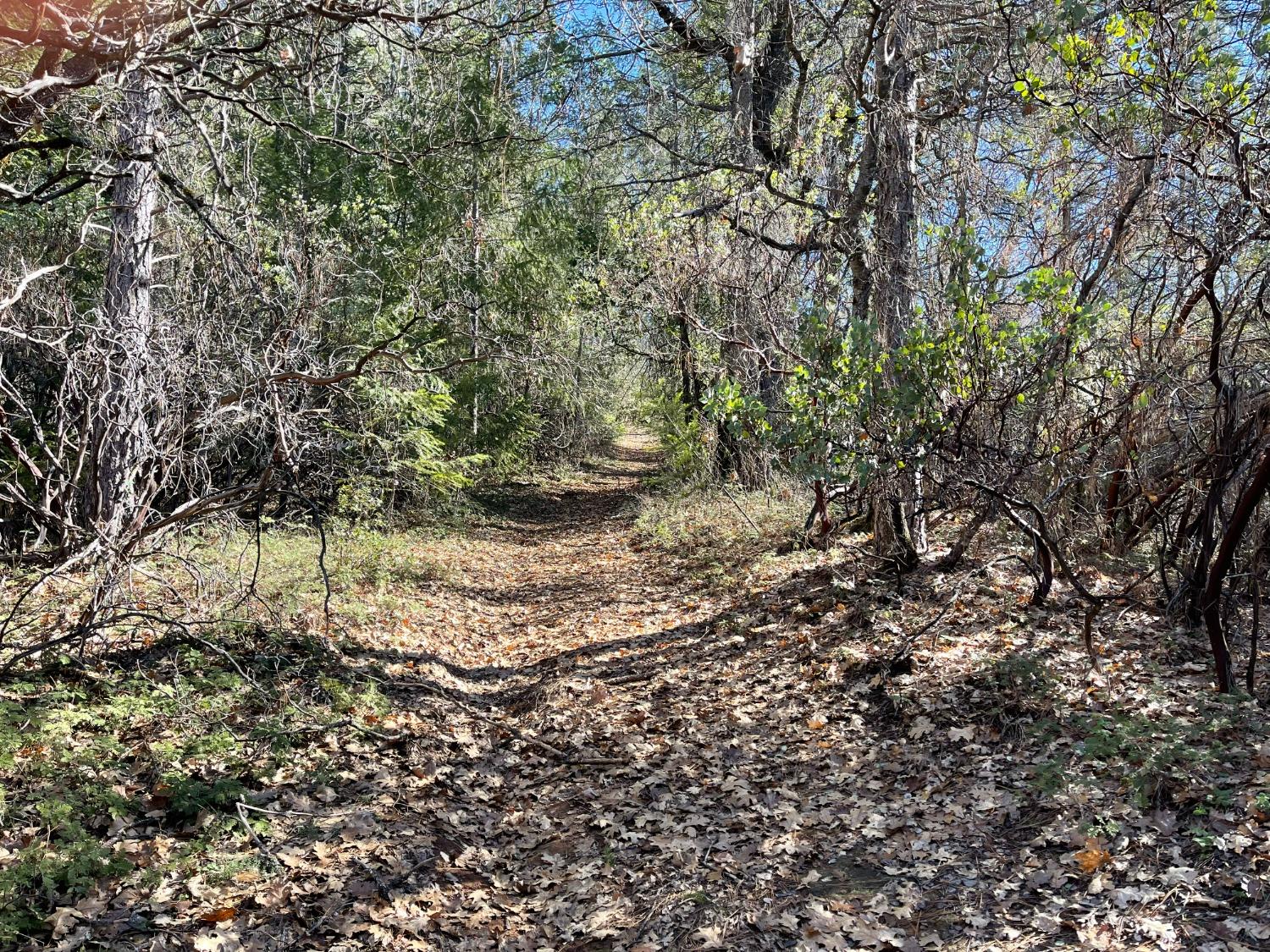 Pine Mountain Road, Foresthill, California image 7