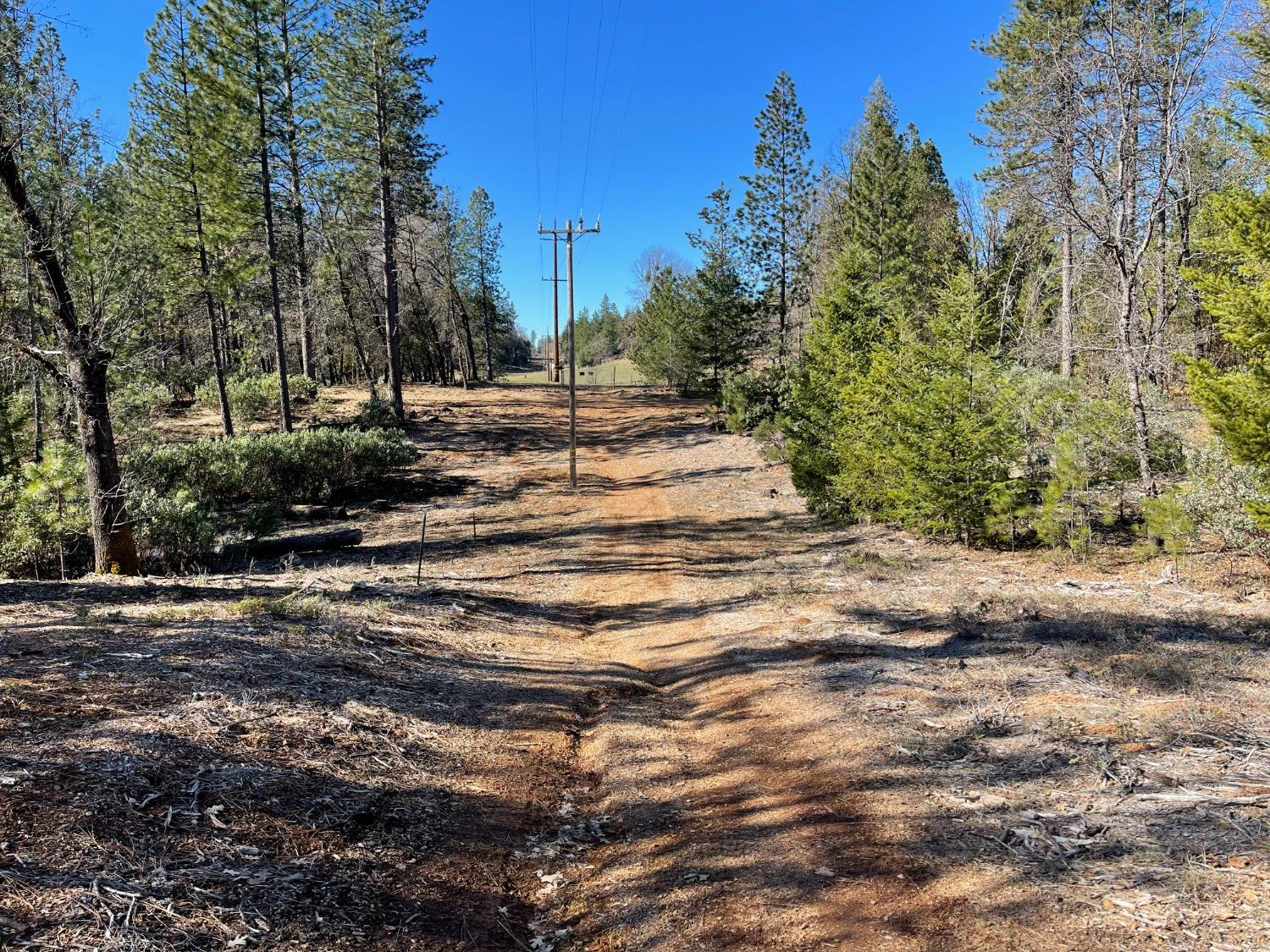 Pine Mountain Road, Foresthill, California image 8