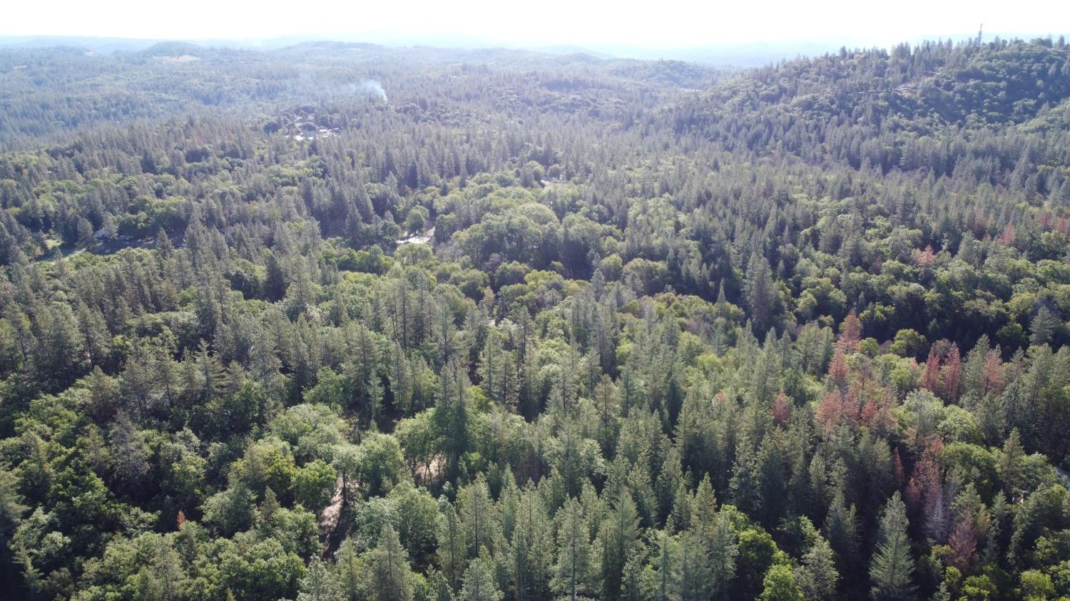 Build your dream home on this affordable almost 6 acre lot in Placerville. This property is in a GREAT location - in the country but only minutes from Target, Starbucks, Safeway, and other shopping and dining in Placerville!
