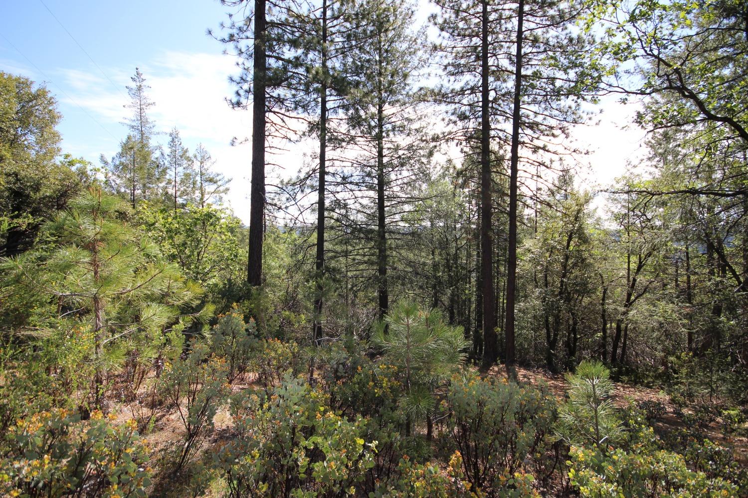 Photo of 10 Acres Pc Ln in Colfax, CA