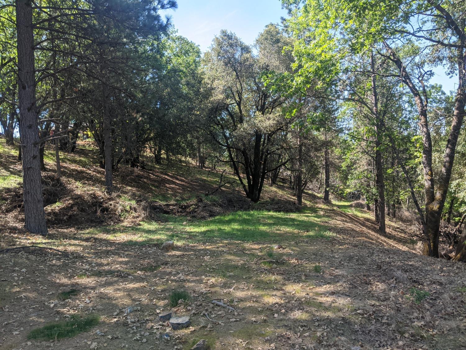 Photo of 3 Eden Forest Dr in Colfax, CA