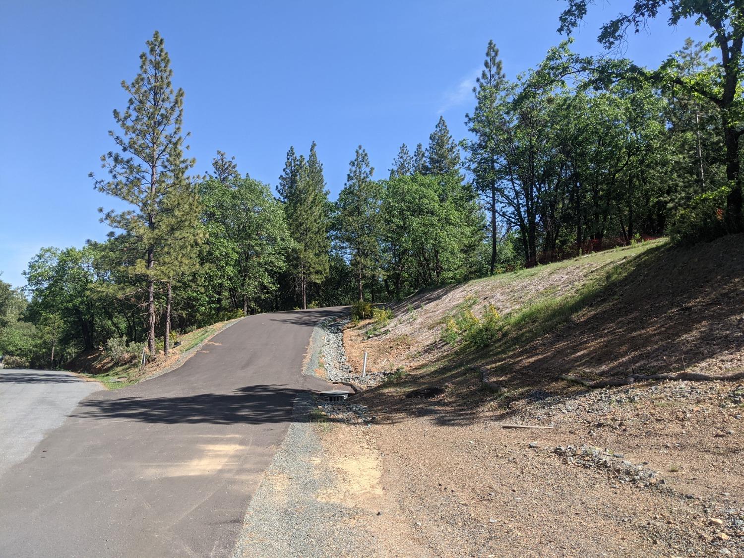Eden Forest Drive, Colfax, California image 3