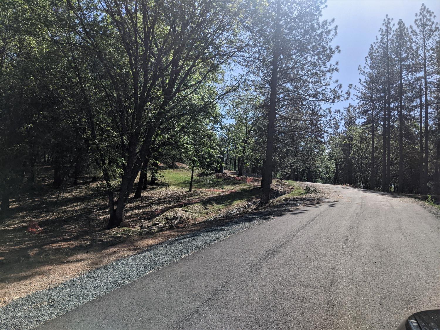 Eden Forest Drive, Colfax, California image 2
