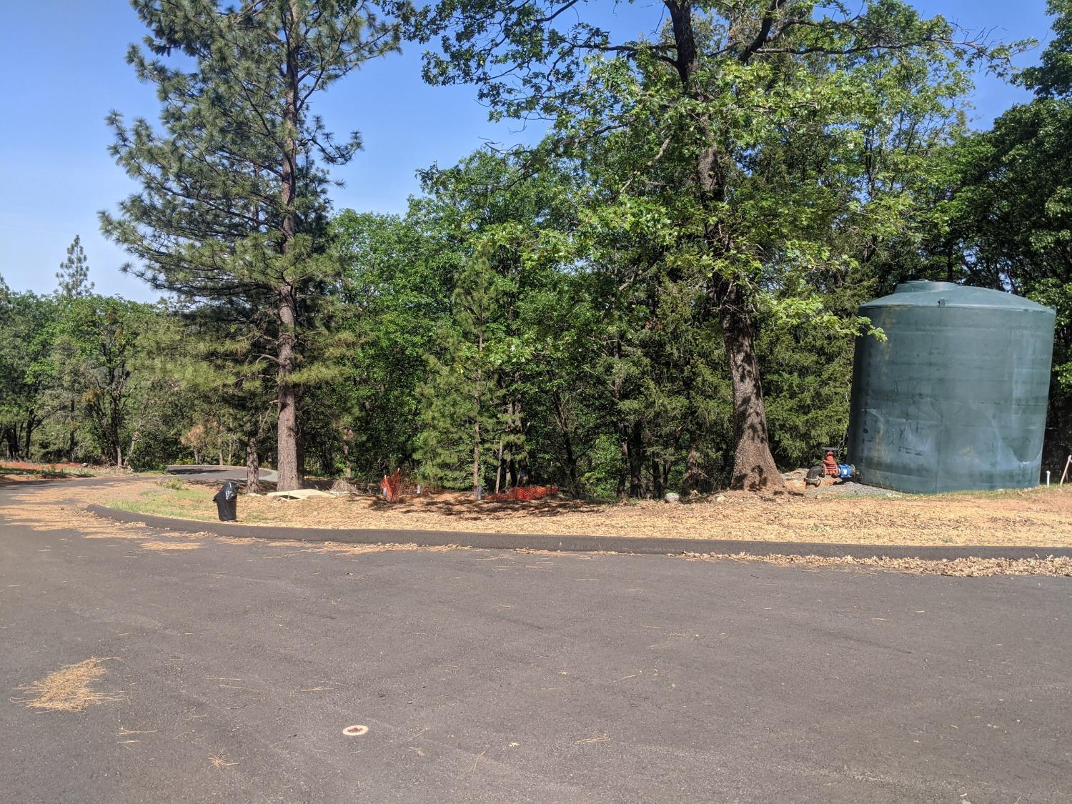 Eden Forest Drive, Colfax, California image 4