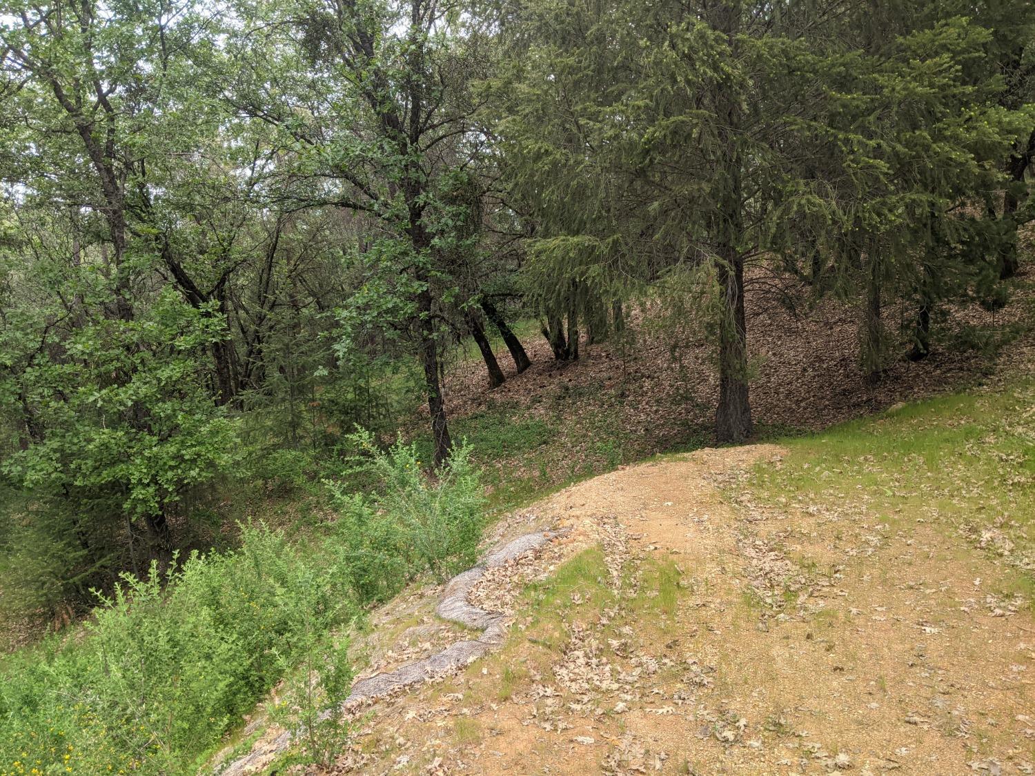 Eden Forest Drive, Colfax, California image 9