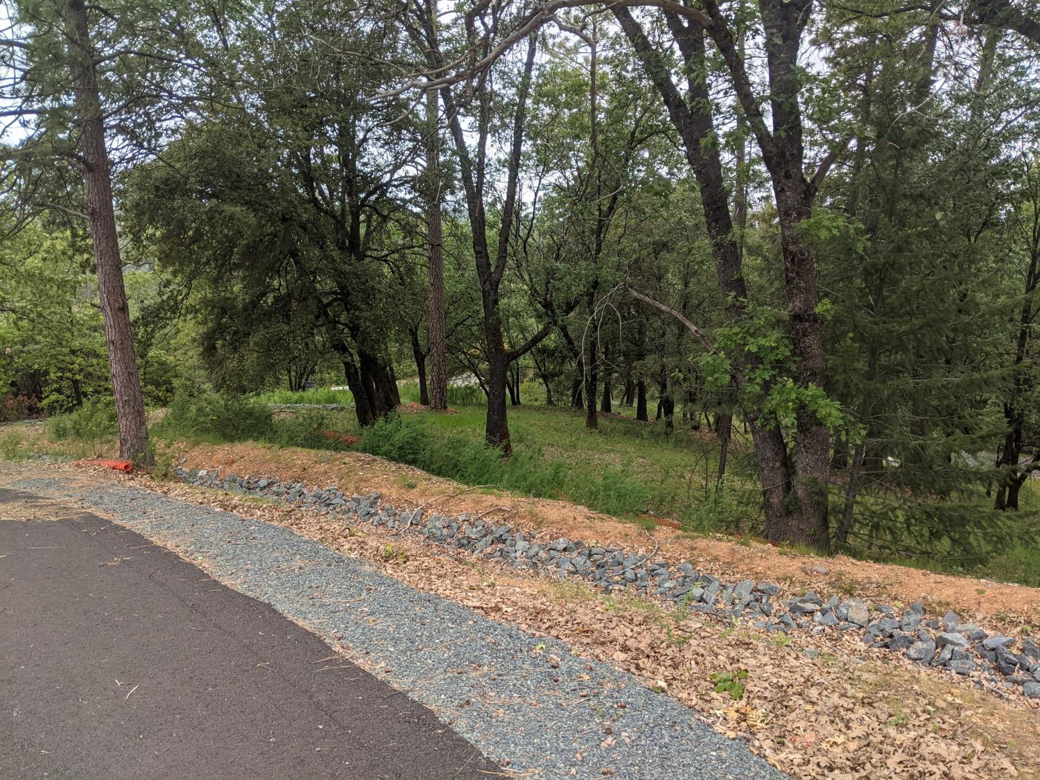 Eden Forest Drive, Colfax, California image 6