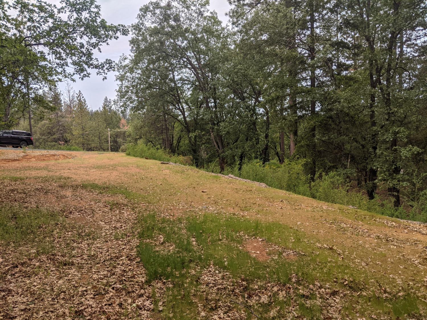 Eden Forest Drive, Colfax, California image 12