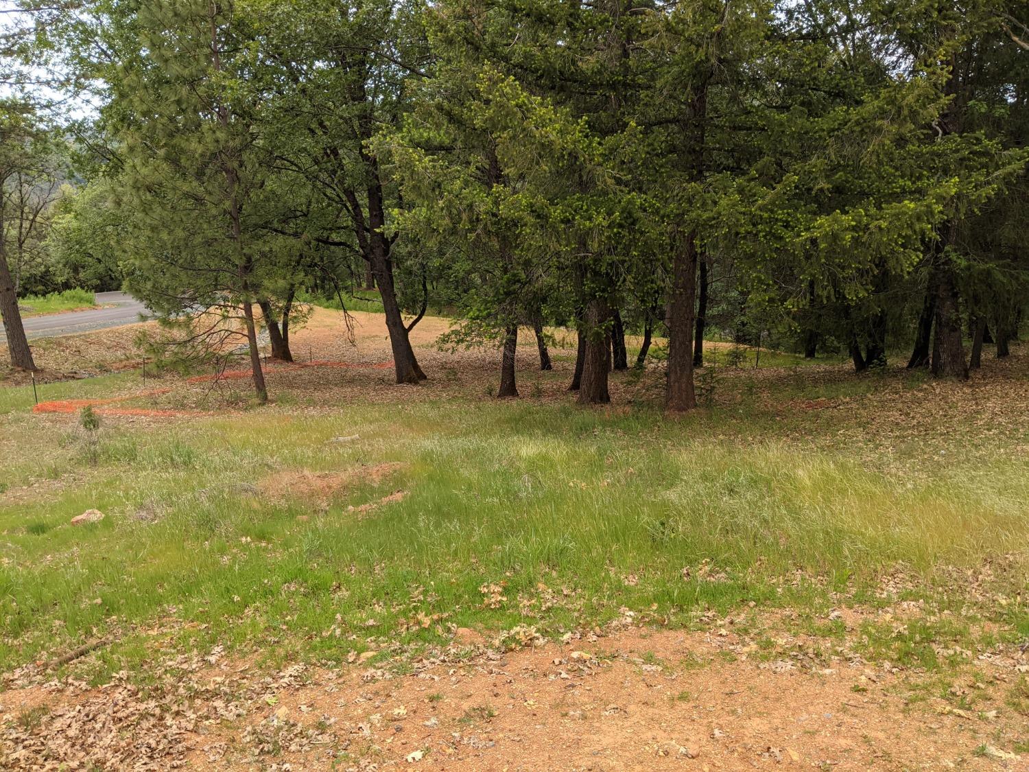 Eden Forest Drive, Colfax, California image 13