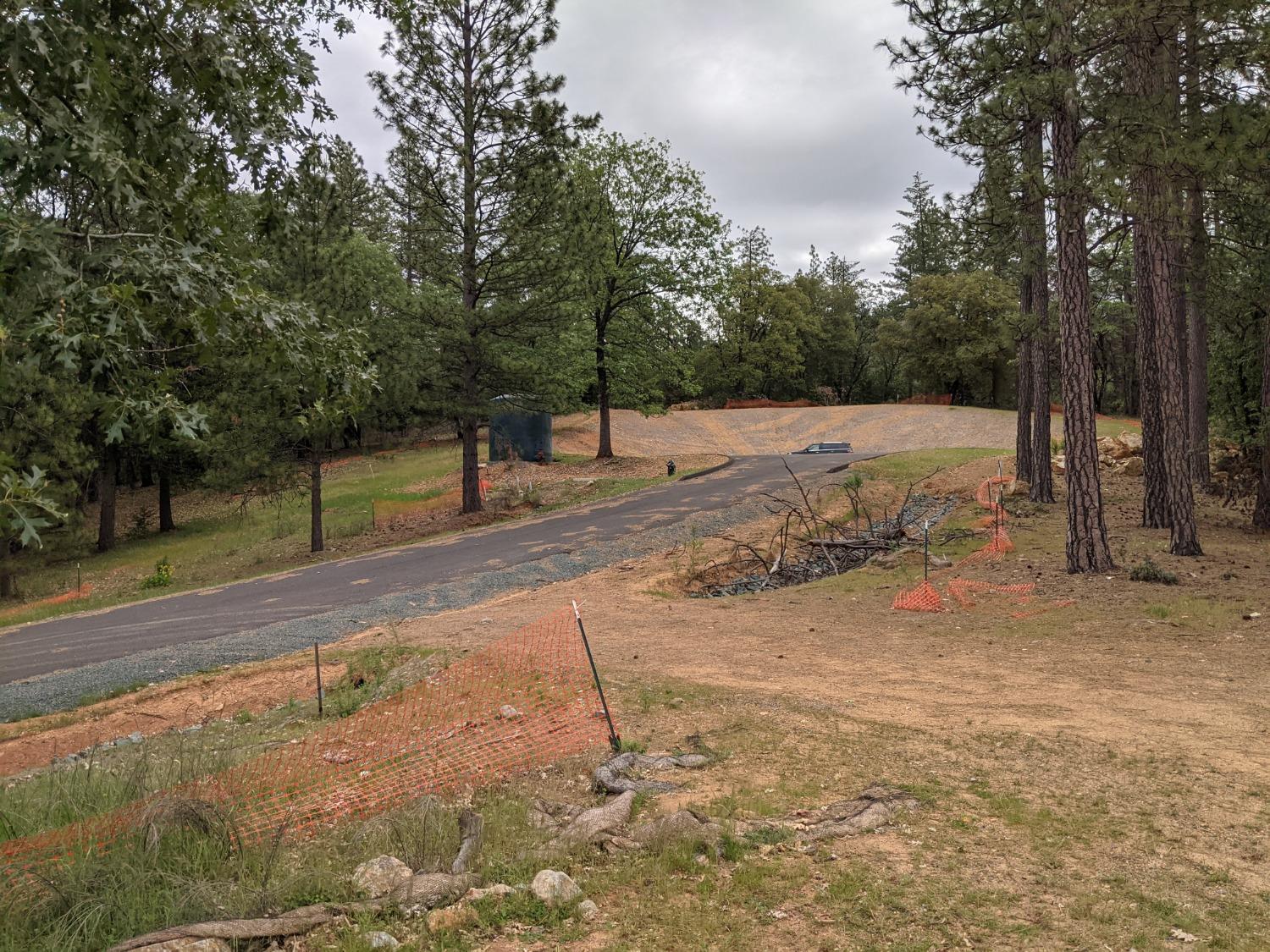 Eden Forest Drive, Colfax, California image 15