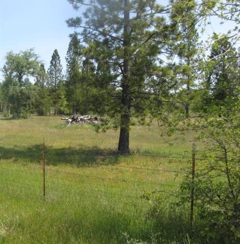0 Rices Crossing Road, Oregon House, CA 95962