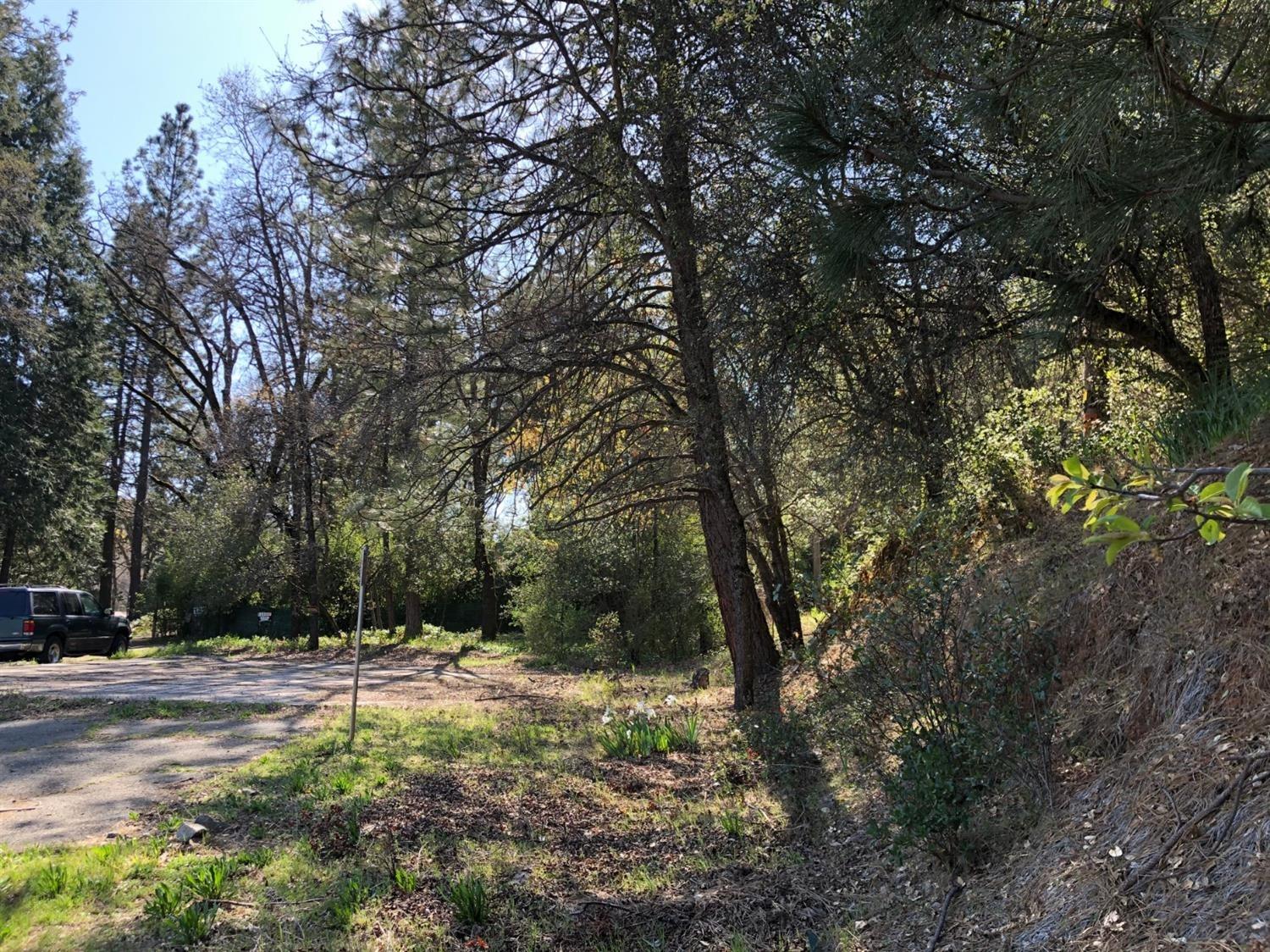 0.58 Acres. Easy Freeway Access. Zoned for Freeway Services. Close to Lake Arthur. Flat Building Area. Old pad & very old septic on site. Corners identified. Property has been perked. Surrounded by trees. Close to Motel, Gas Station and small store.