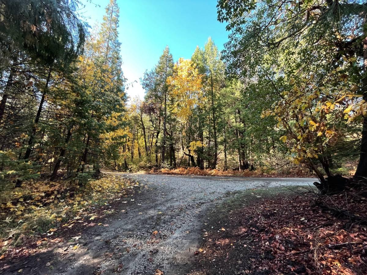 Photo of 16405 Grizzly Ridge Rd in Nevada City, CA
