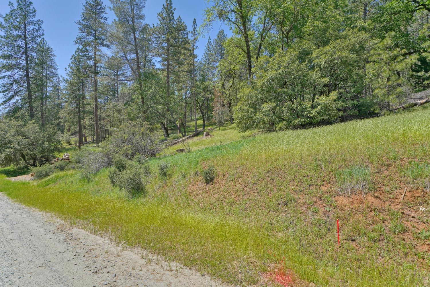 Located in the small Gold Strike subdivision on RED DOG DR in beautiful Camino. Thinking of building a home and want a peaceful setting?  Just minutes to Apple Hill without the traffic, 15 minutes to Placerville, minutes to many award winning wineries and about 1 hour to Tahoe! Banner Bank in Folsom offers vacant land loans!