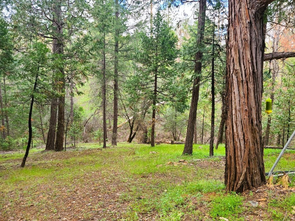 Lone Star Road, Wilseyville, California image 31