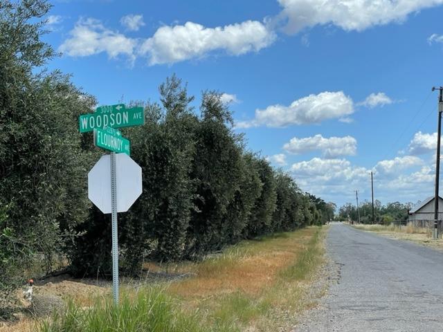 Great opportunity to own your own manzanello & mission olive orchard!! Build your dream home, create a pasture for horses or additional farming opportunity. Well, septic and power on site. Bring us an offer!