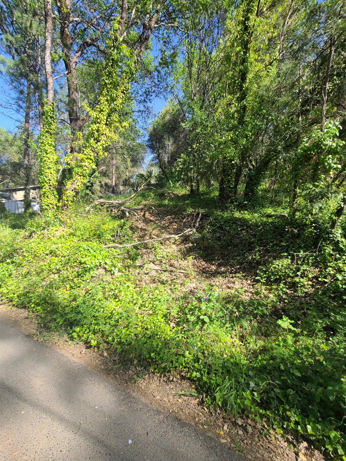 Photo of 23038 Pigeon Trl in River Pines, CA