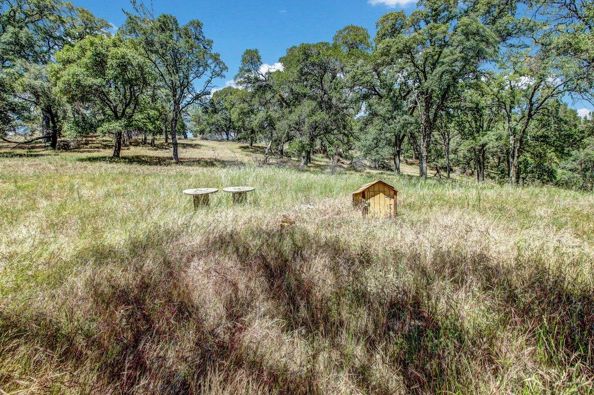 Applejack Drive, Grass Valley, California image 3