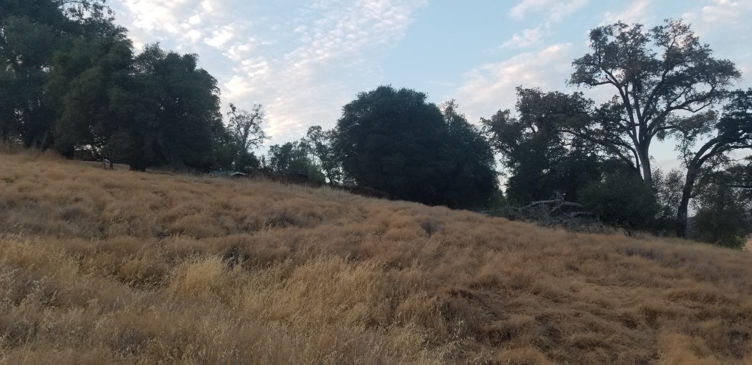 Photo of Argonaut Dr in Jackson, CA