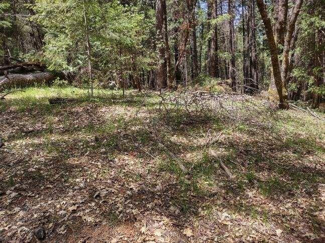 Photo of 10-B Buffalo Hill Rd in Georgetown, CA
