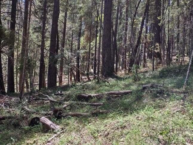 Photo of 10-C Buffalo Hill Rd in Georgetown, CA