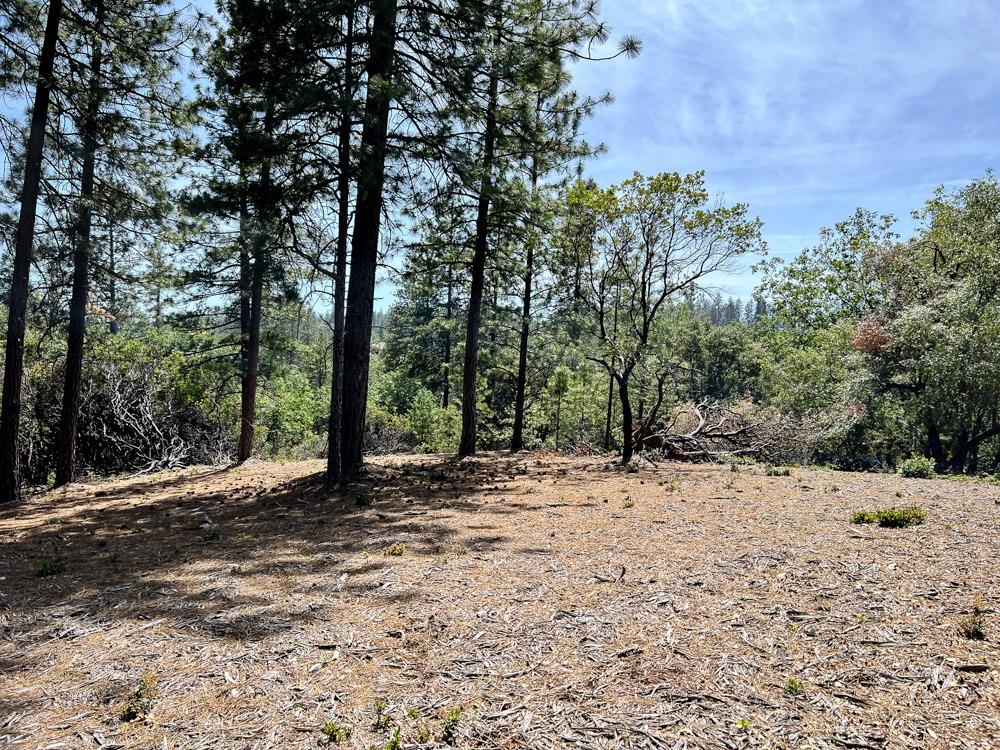 2.3 Acre Lot in Weimar with a wonderful opportunity for a multifamily situation. Two lots next door to each other both separate parcels for sale! 2.5 Acre Lot next door also for sale (MLS# 222068596). Buy both for a total of 4.8 acres or just buy one!