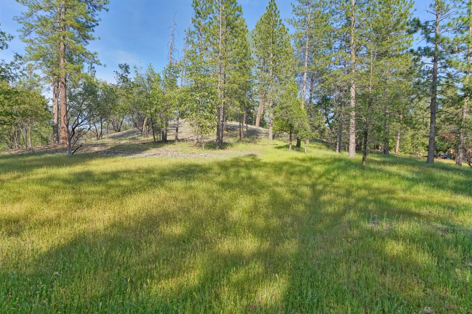 Nice 5-acre parcel minutes to Camino/Apple Hill or award winning El Dorado County Wineries, restaurants and grocery store. Brush on this property has been masticated and shows very nicely. Few trees on property, nice and open/airy. Want more than this beautiful 5 acres? Adjacent property is also listed, MLS #222067737