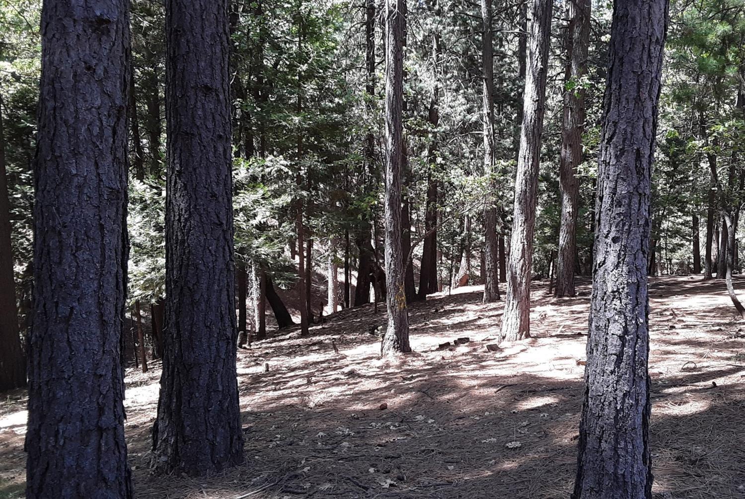 5693 Lupin Lane, Pollock Pines, California image 8