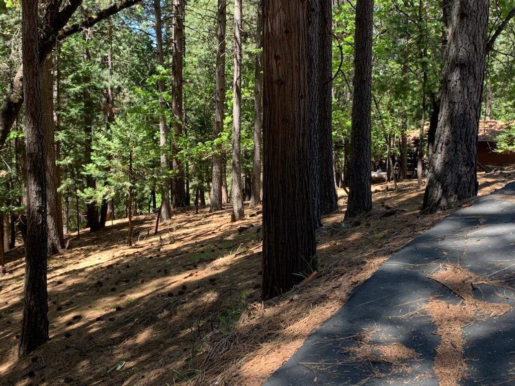 5693 Lupin Lane, Pollock Pines, California image 6
