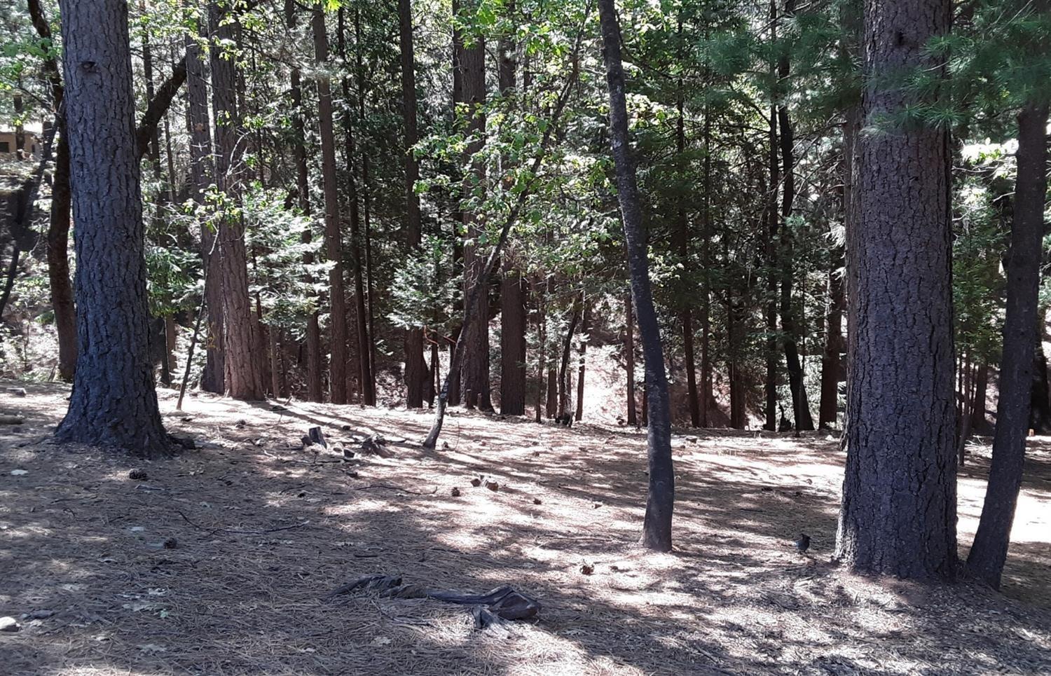 5693 Lupin Lane, Pollock Pines, California image 13