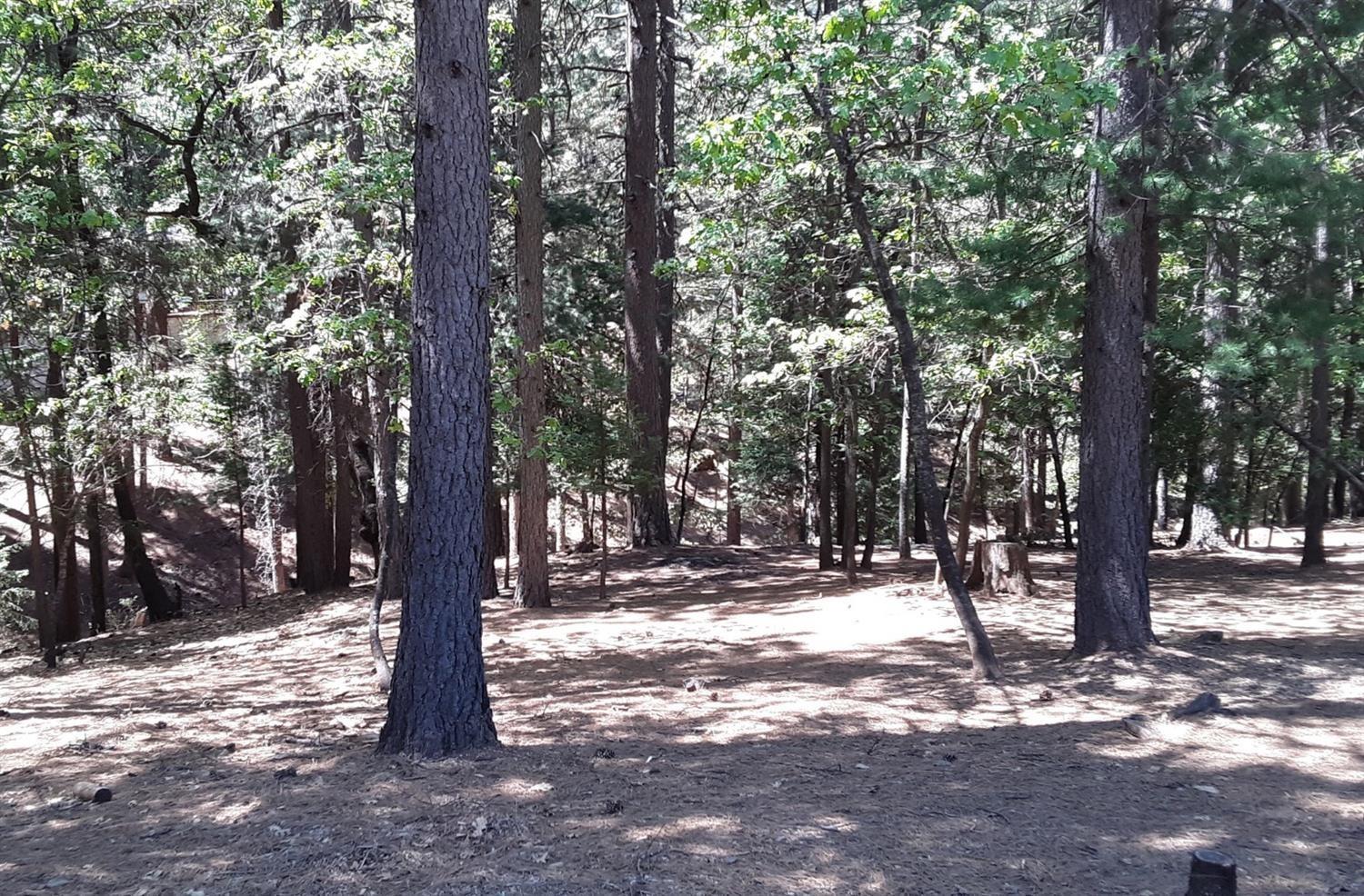 5693 Lupin Lane, Pollock Pines, California image 7
