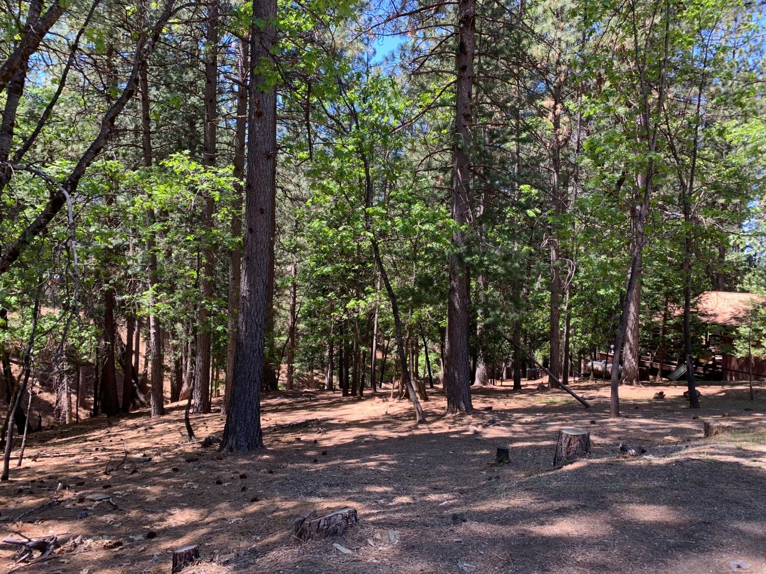 5693 Lupin Lane, Pollock Pines, California image 15