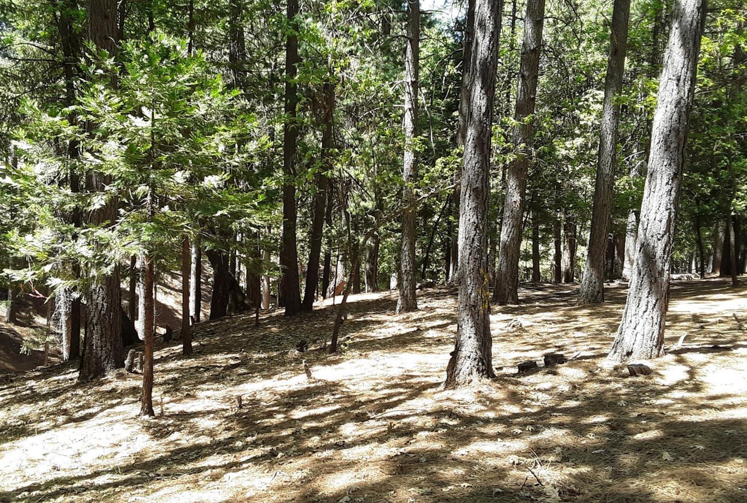 5693 Lupin Lane, Pollock Pines, California image 9