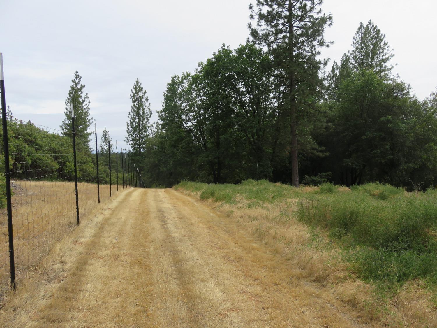 Wolverine Mine Road, Glencoe, California image 3