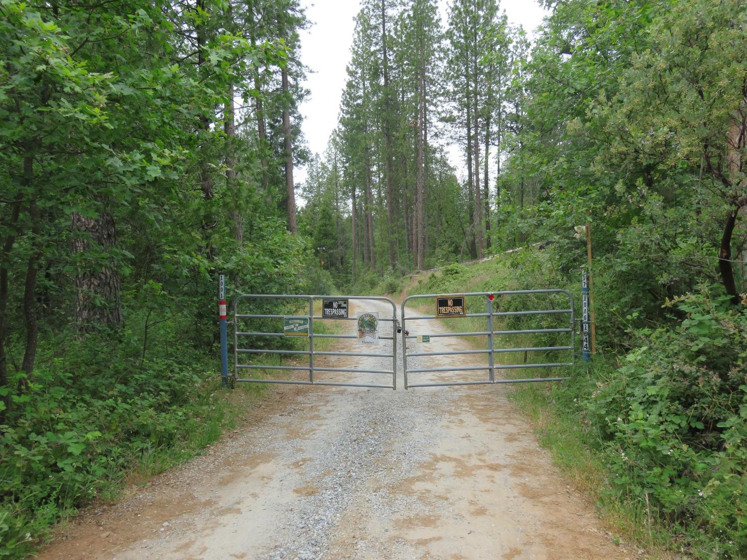 Wolverine Mine Road, Glencoe, California image 18