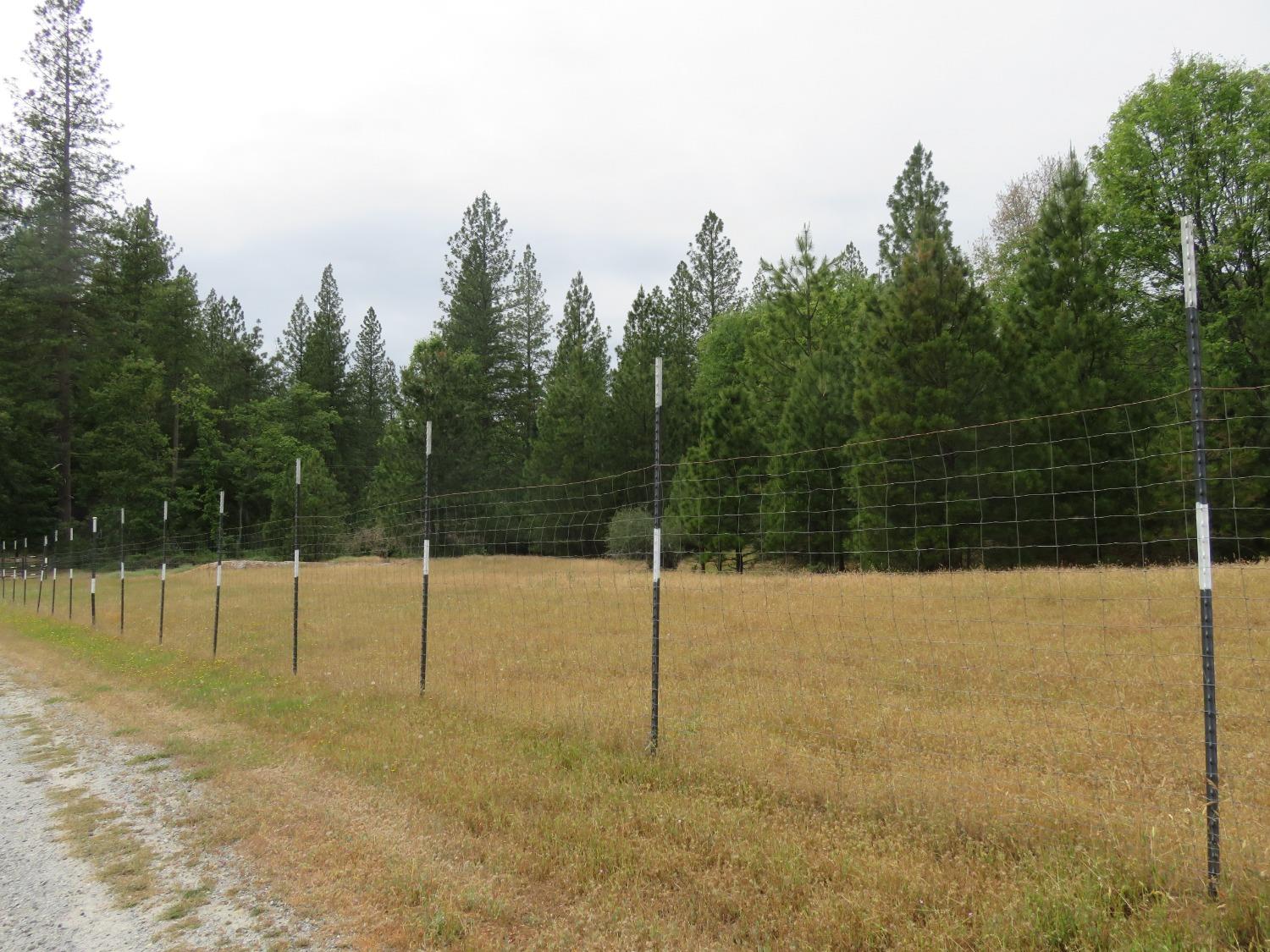 Wolverine Mine Road, Glencoe, California image 14