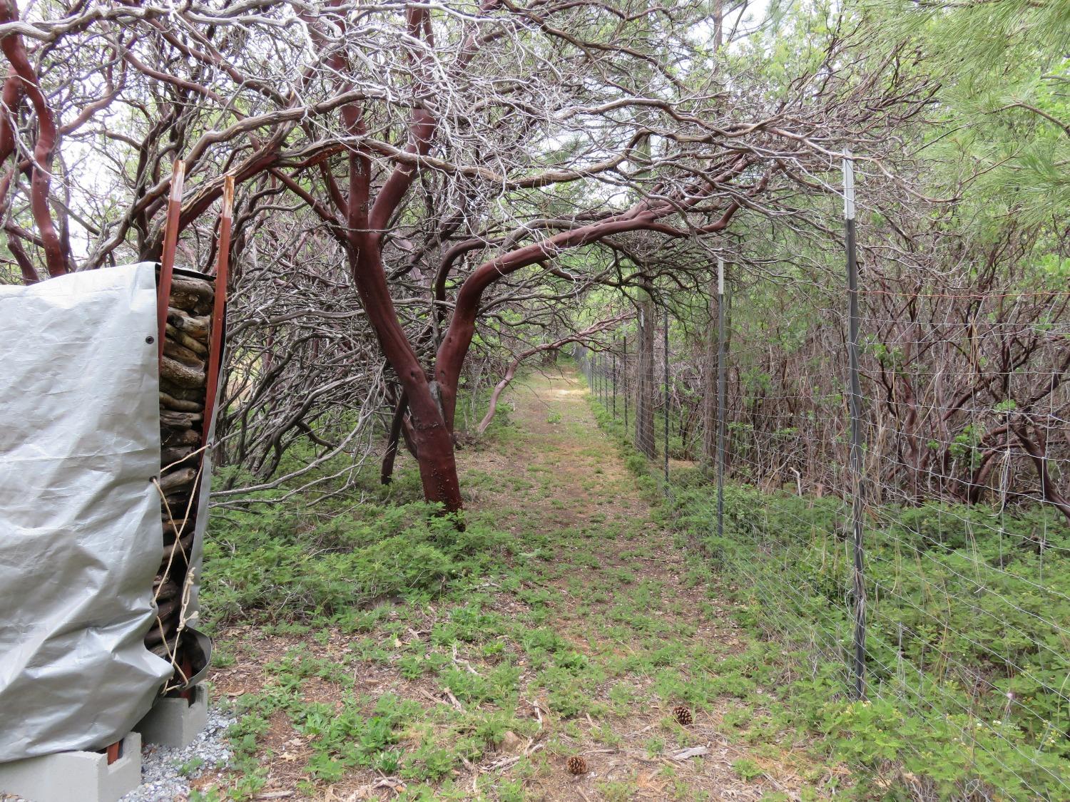 Wolverine Mine Road, Glencoe, California image 17