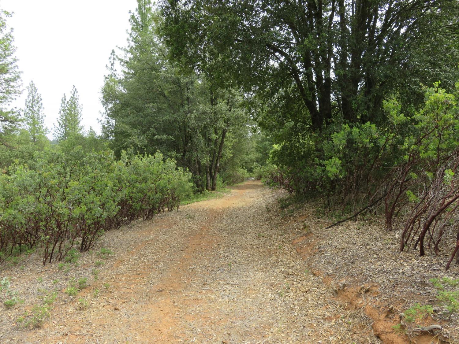 Wolverine Mine Road, Glencoe, California image 9