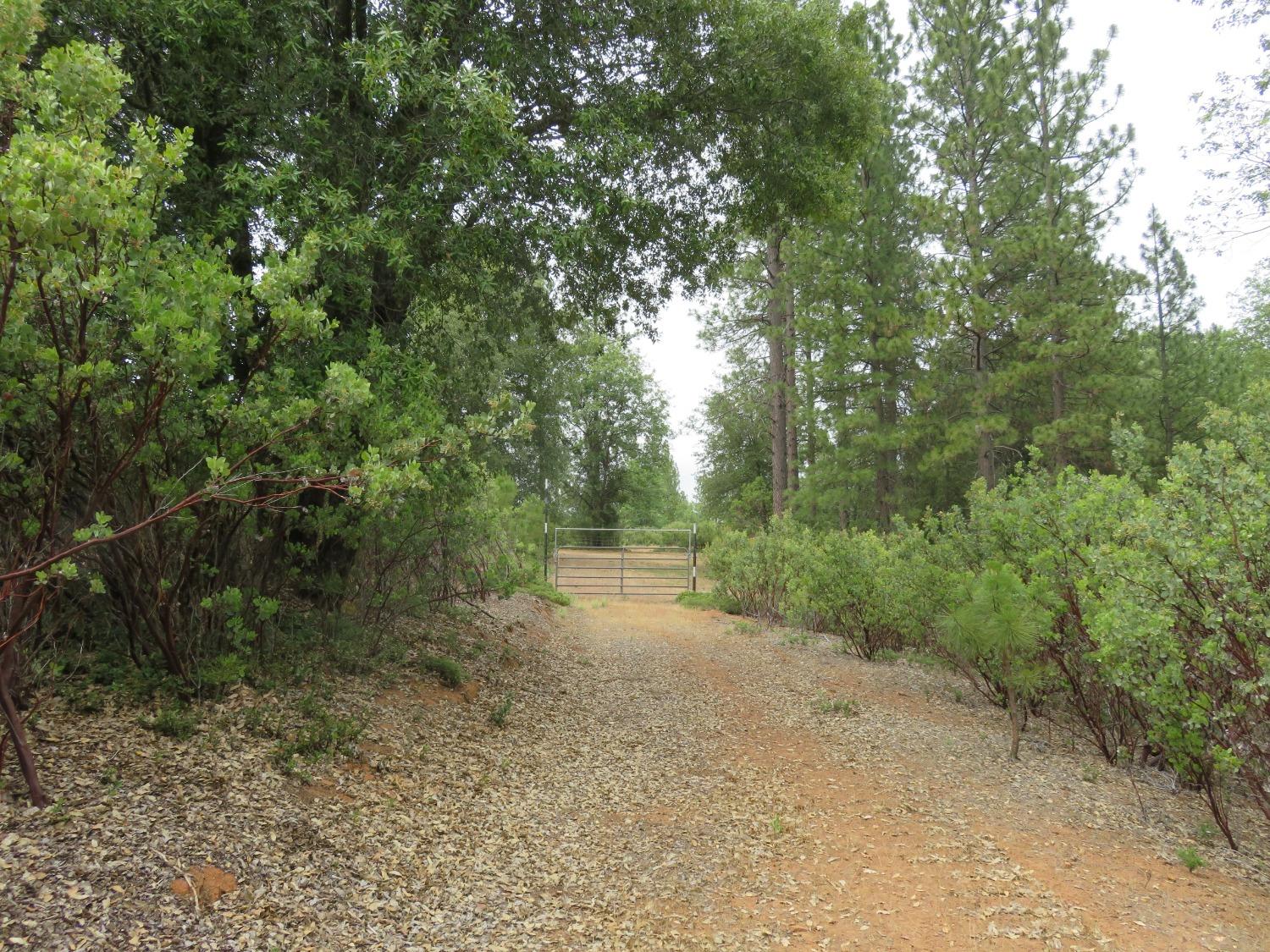 Wolverine Mine Road, Glencoe, California image 16