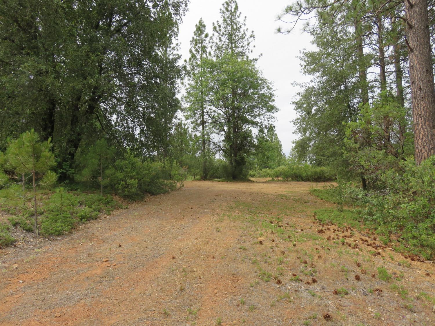 Wolverine Mine Road, Glencoe, California image 7