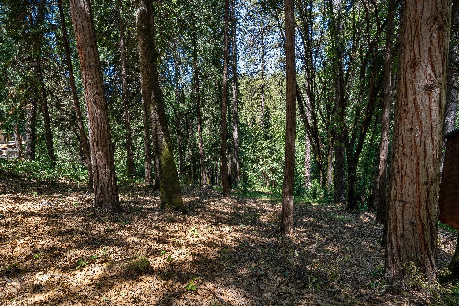 Photo of 11534 Ball Rd in Grass Valley, CA