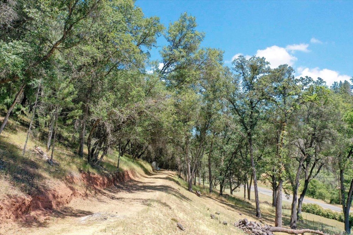 Trail on the property to well pump house!
