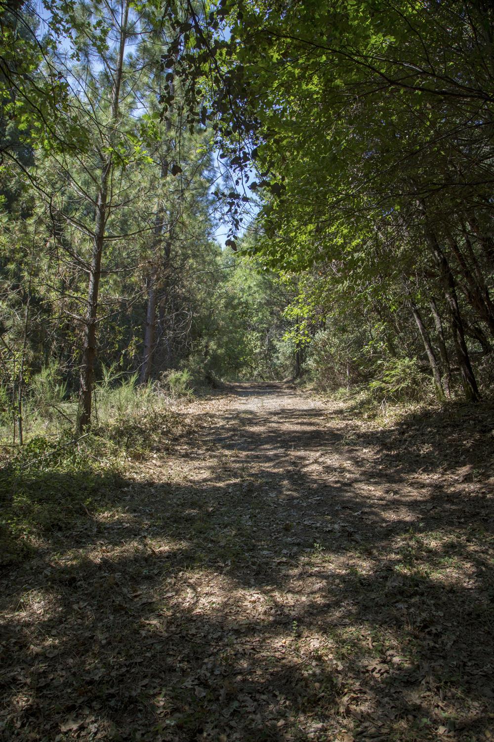 E Breedlove Lane, Georgetown, California image 6